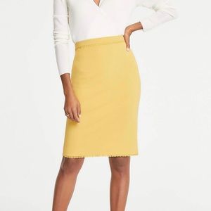 NWT Ann Taylor Skirt with lace trim
